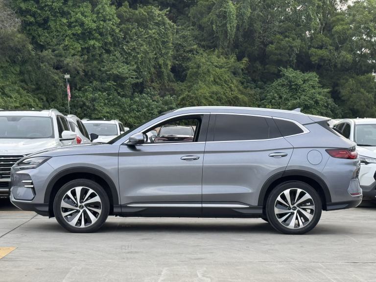 BYD Song PLUS New Energy 2025 EV520km Luxury Edition